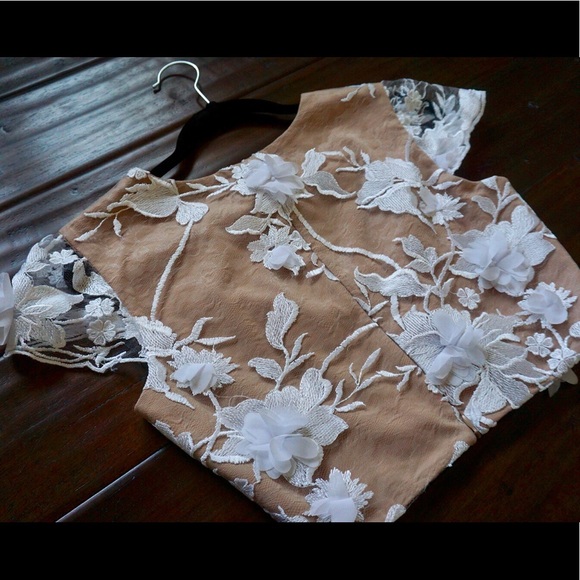 Dress the Population crop top. - Picture 5 of 7